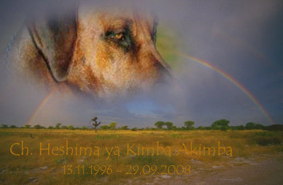 Akimbas Weg über den Regenbogen